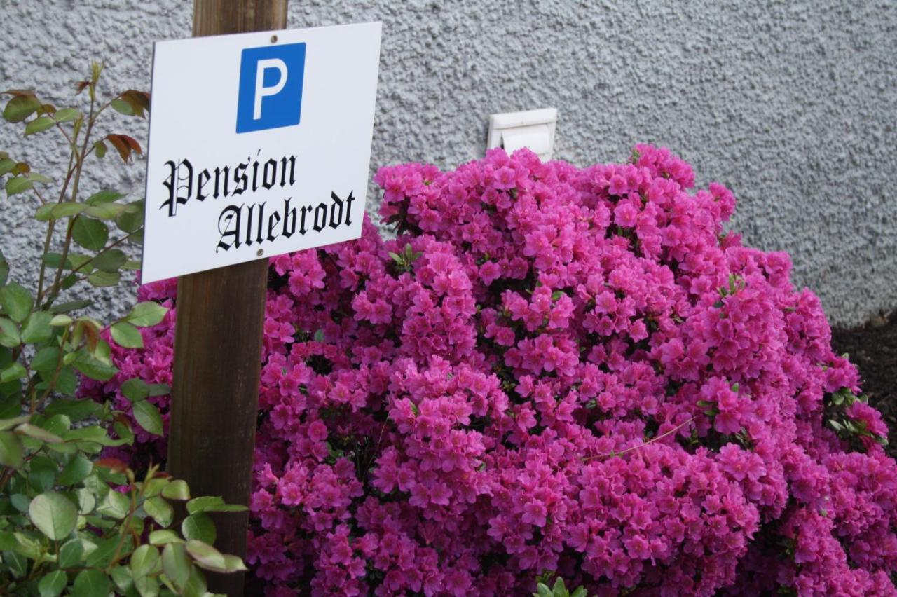 Pension / Ferienwohnung Allebrodt Lennestadt Dış mekan fotoğraf